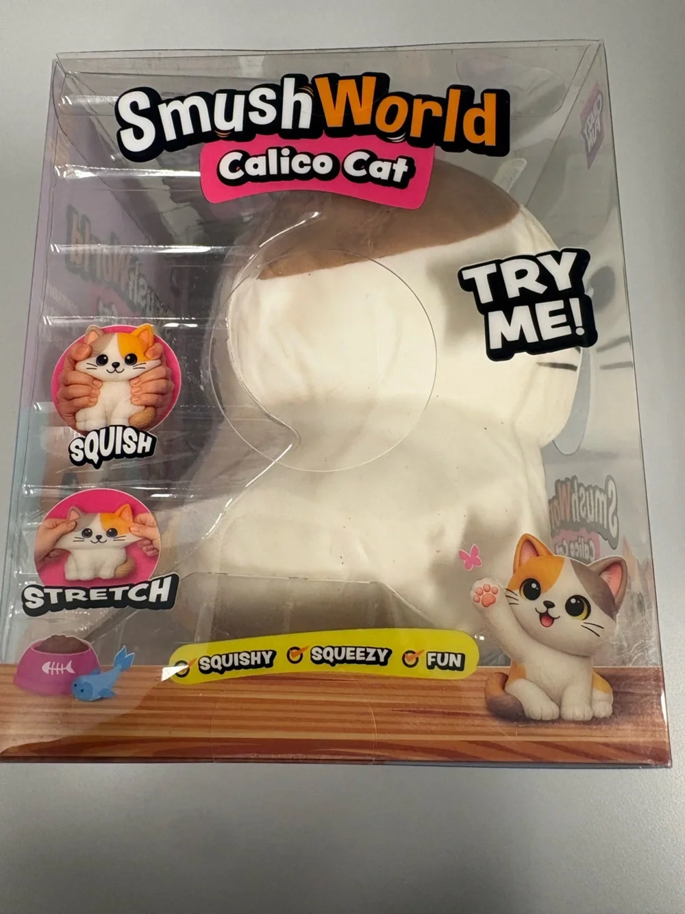 Crazy fun cute calico
